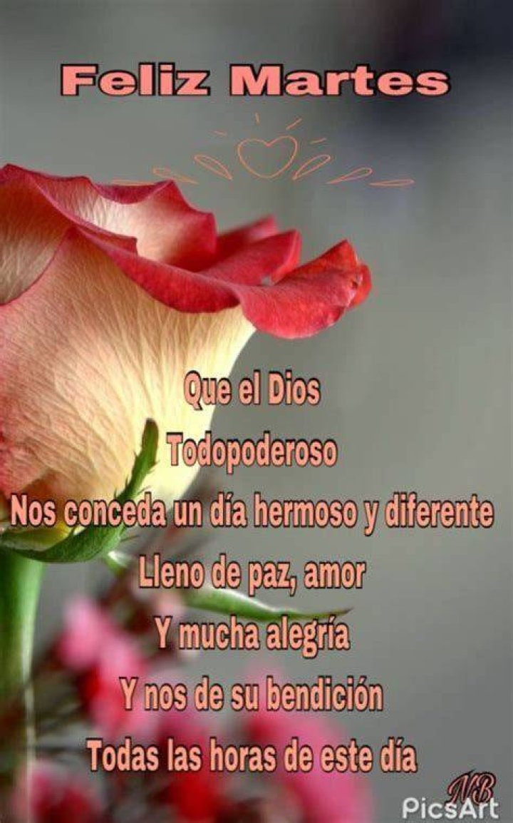 52+ Feliz Martes bellas im&aacute;genes para todos