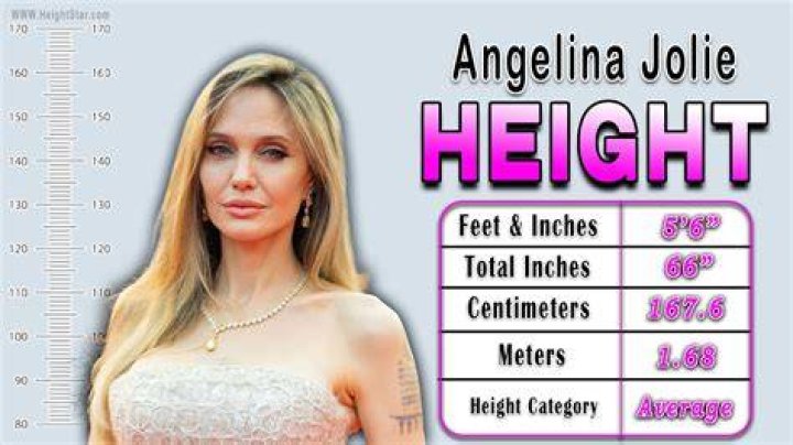 Angelina Jolie Wiki, Height, Weight, Age, Affairs, Measurements