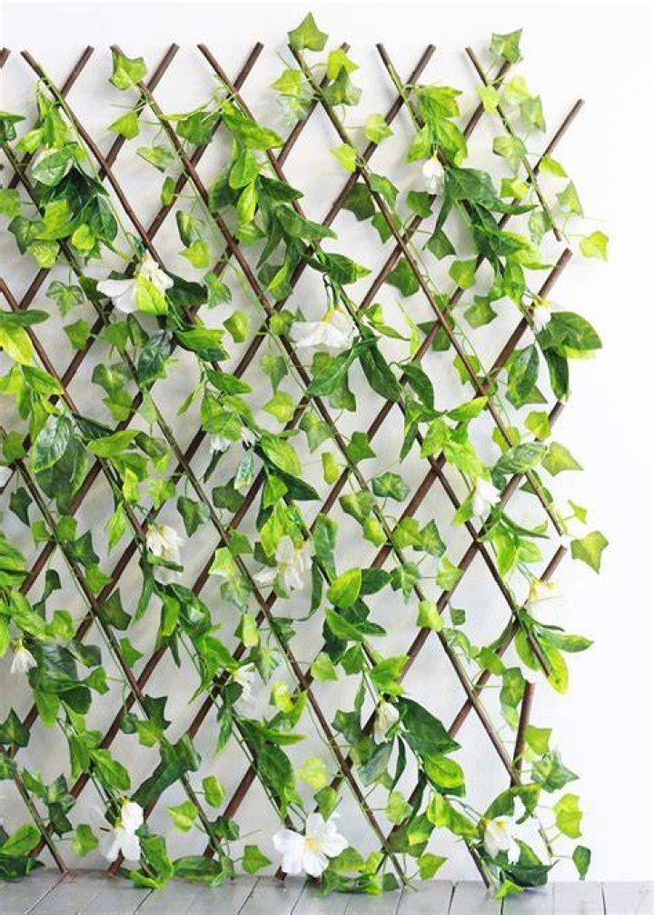Breathtaking Plastic Vine Wall Plant Stand With Basket