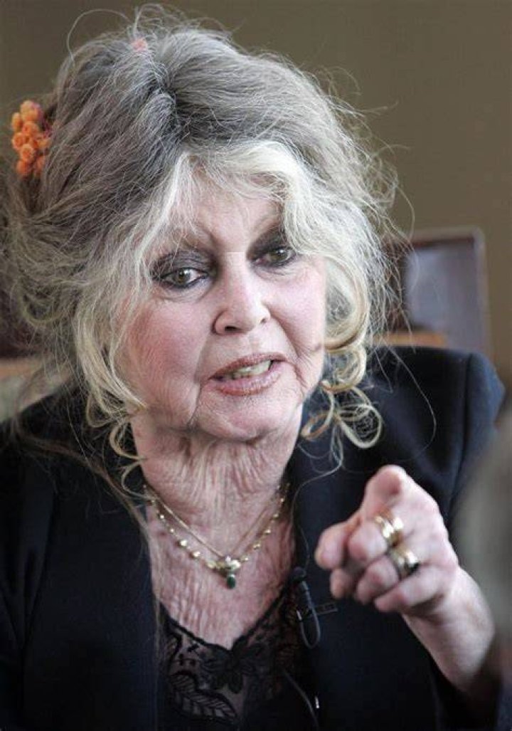 Brigitte Bardot completa 81 anos lembrada pela beleza e amor aos
