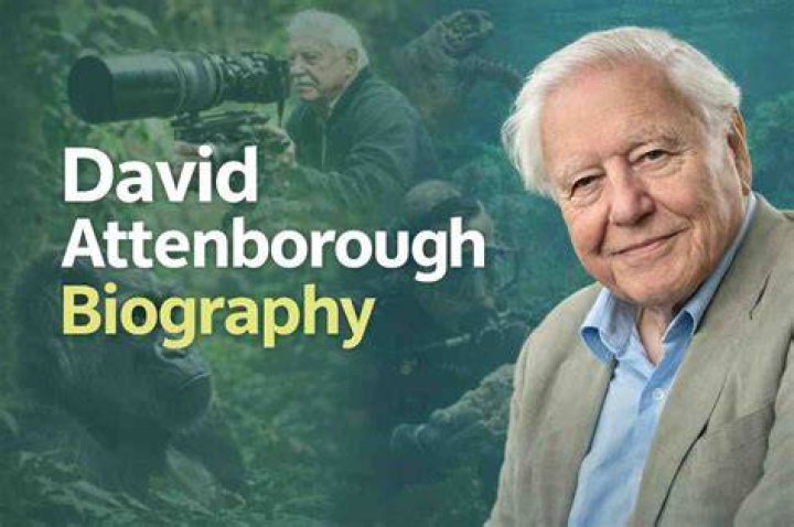 David Attenborough's Net Worth In 2023 And Beyond