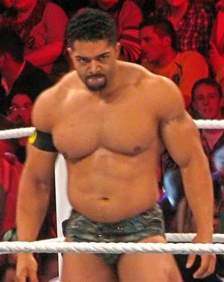 David Otunga Wikipedia