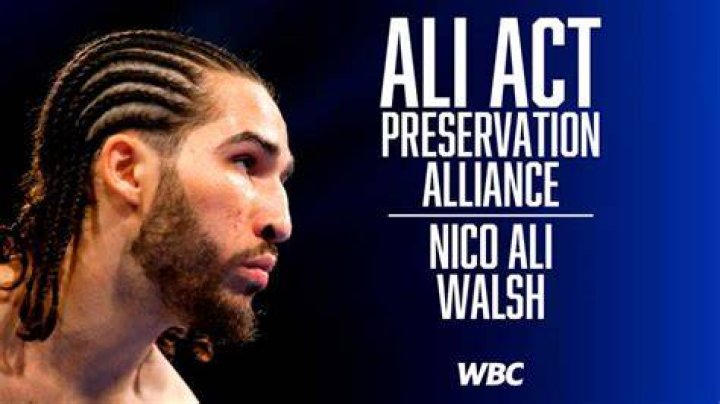 Discover The Rise Of Nico Ali Walsh: A Legacy Unfolds