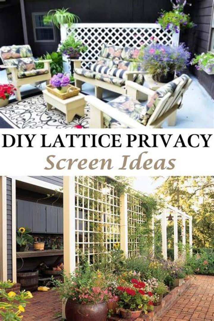 DIY Privacy Haven: Protect Your Garden From "Stefanie Gurzanski OnlyFans Leaks" Fallout