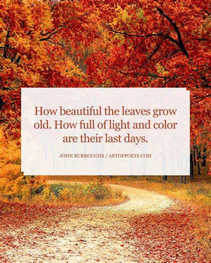 fall quote about the beauty of autumn from ernest dowson poem