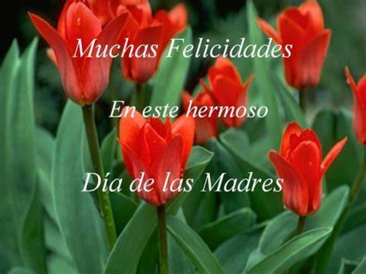 Felicidades a las Madres Dominicanas en su d&iacute;a!! Poster, Mothers day
