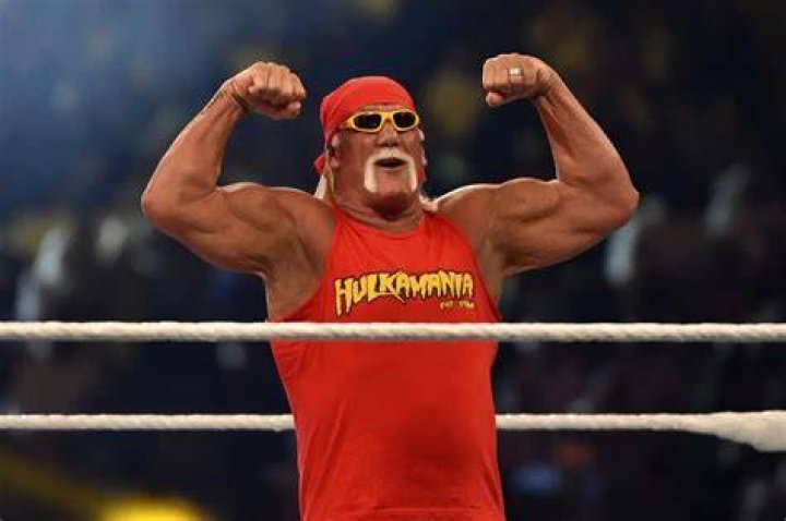 Hulk Hogan Hulk Hogan