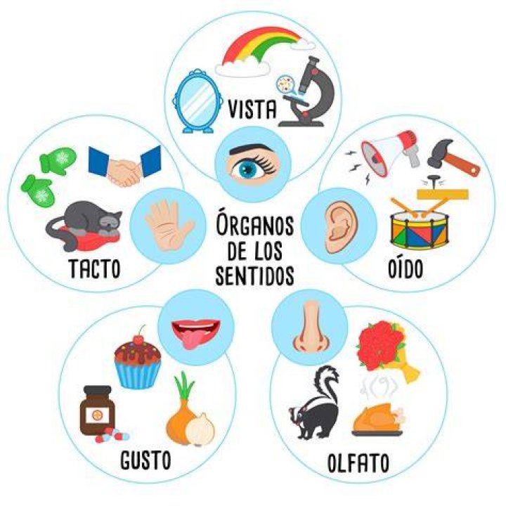 ¿Quiénes son los cinco jóvenes desaparecidos en Lagos Moreno?