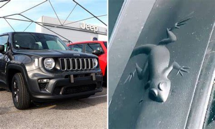 Jeep Hidden Animals Liberty showroomhondasemarang