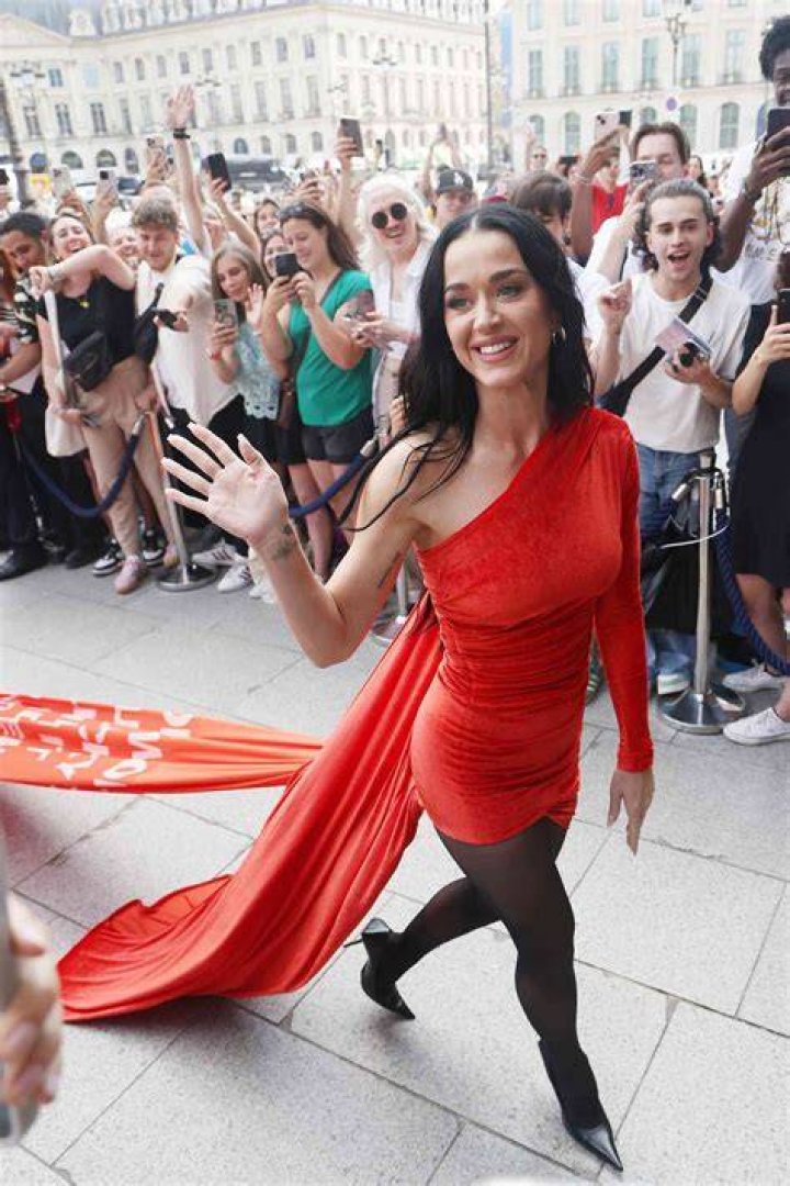 Katy Perry Walked The Red Carpet With Quinoa In Her Teeth