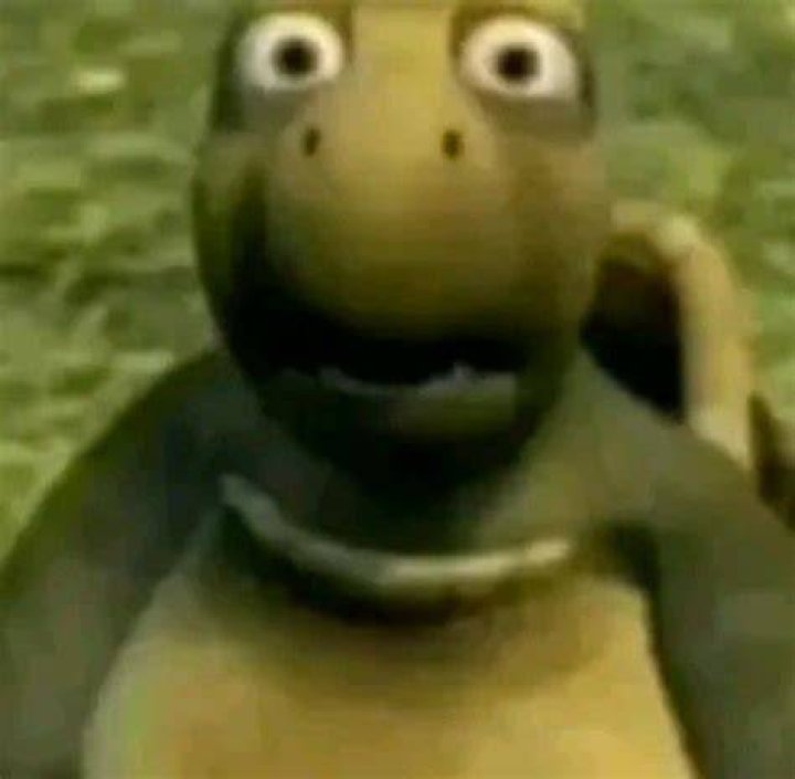 Kura kura bengong (meme) [verne the turtle from over the hedge] YouTube