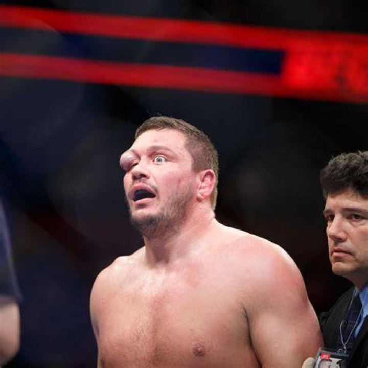 matt mitrione net worth