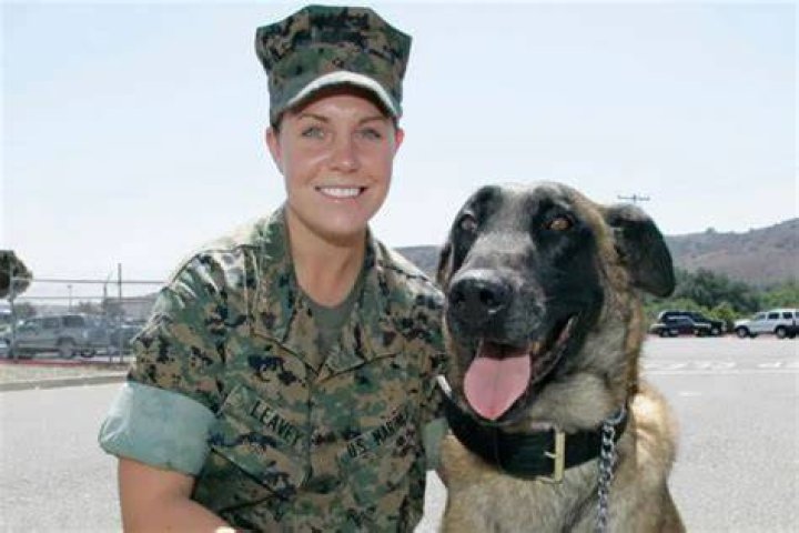 Megan Leavey And Matt Morales' Journey Of Love And Service