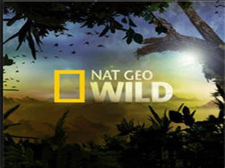 Nat Geo greenlights 2nd season of 'Life Below Zero First Alaskans