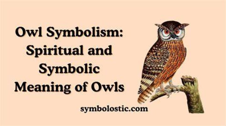 Owl Symbolism & Spiritual Meanings Around the World