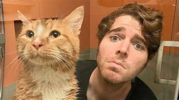 Shane Dawson Cat Video Leaked Animal Abuse And Pedophilia Allegations