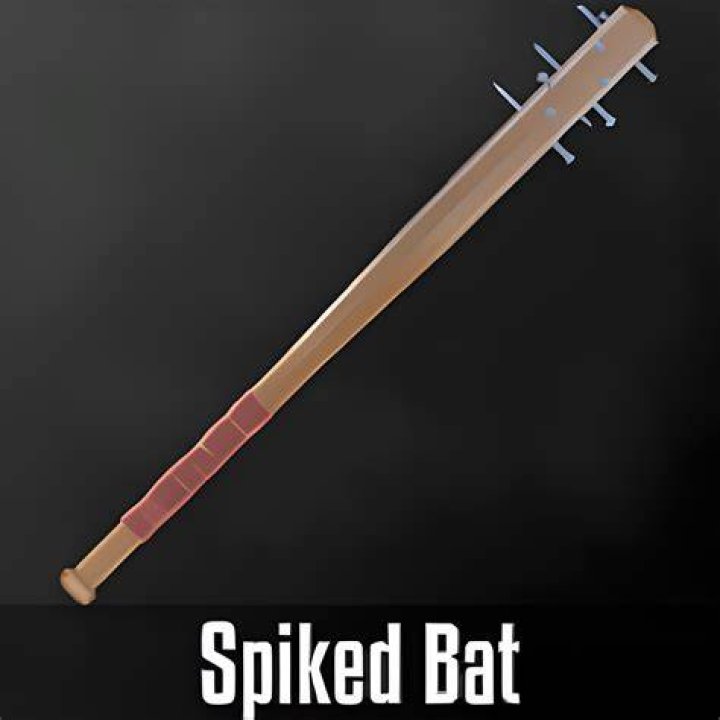 Spiked bat: Dot wielded a baseball bat spiked with nails