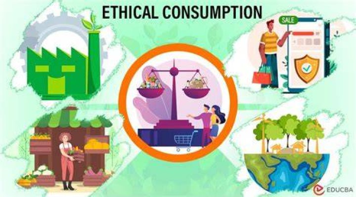 Sustainable Living And Ethical Consumption In The Digital Age: Addressing The "Juicy