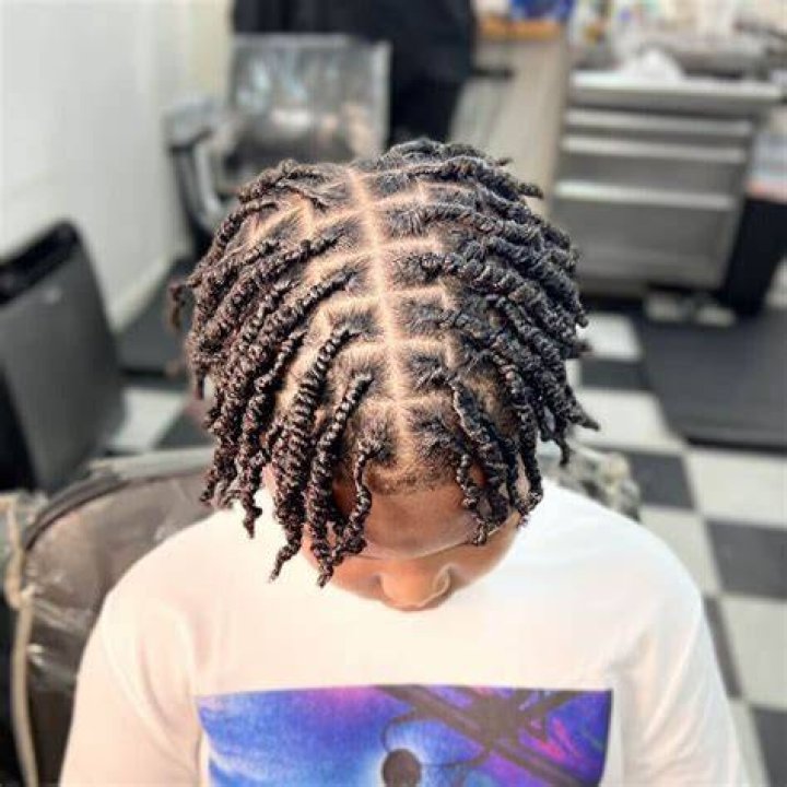 Two Strand Twist Hairstyles, Dreadlock Hairstyles For Men, Black Men