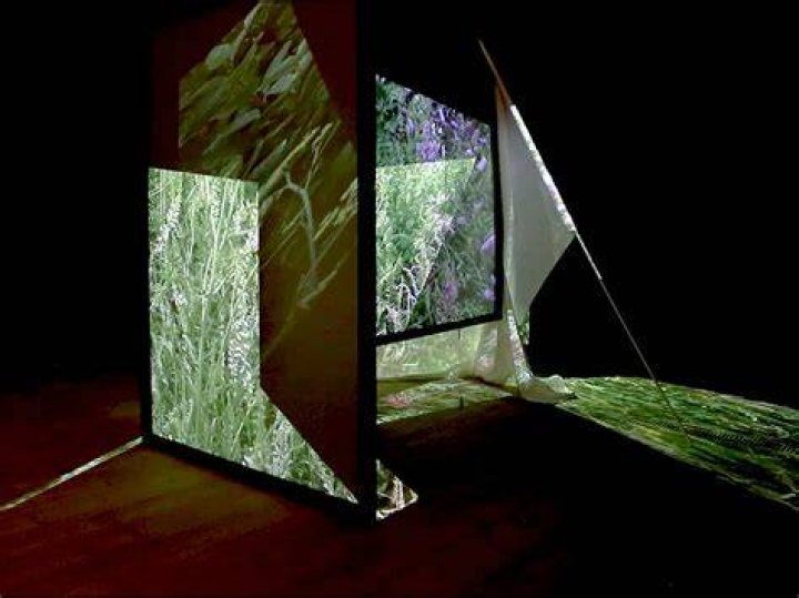 Uncover The Art And Activism Of Felicia Knox: Discoveries And Insights