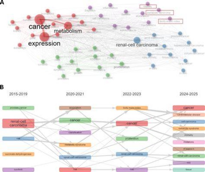 Uncovering A Decade Of Evolution