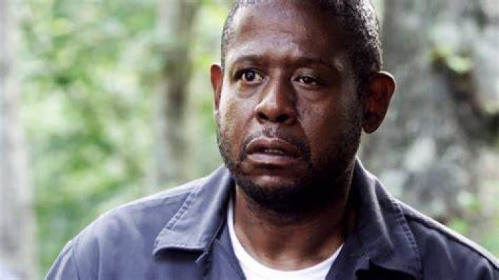 Unveiling Forest Whitaker's Left Eye: A Unique Journey