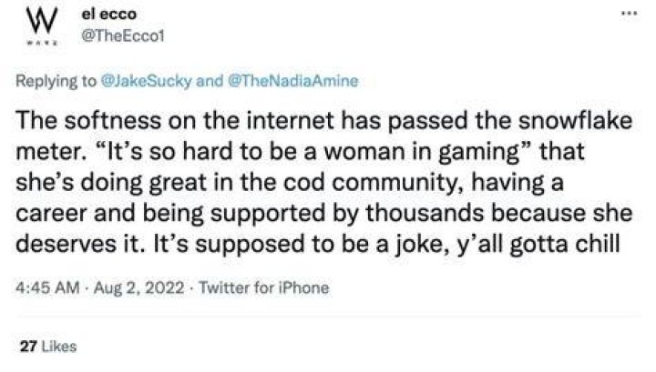 Warzone streamer calls out sexist viewers over viral TikTok &ldquo;I will