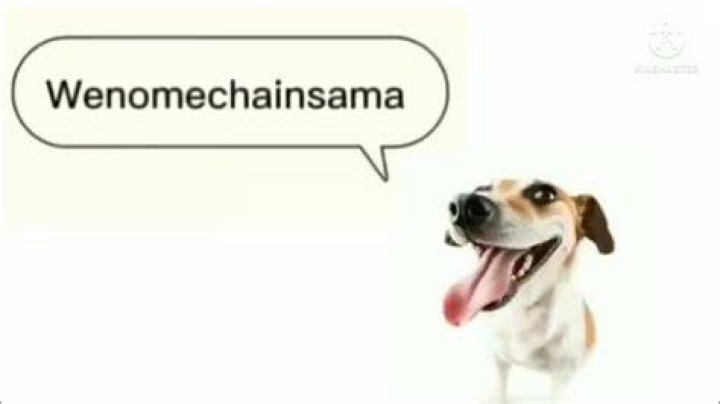 Wenomechaindasuma tumajarbisaun wifenlooof eselifterbraun Boomer