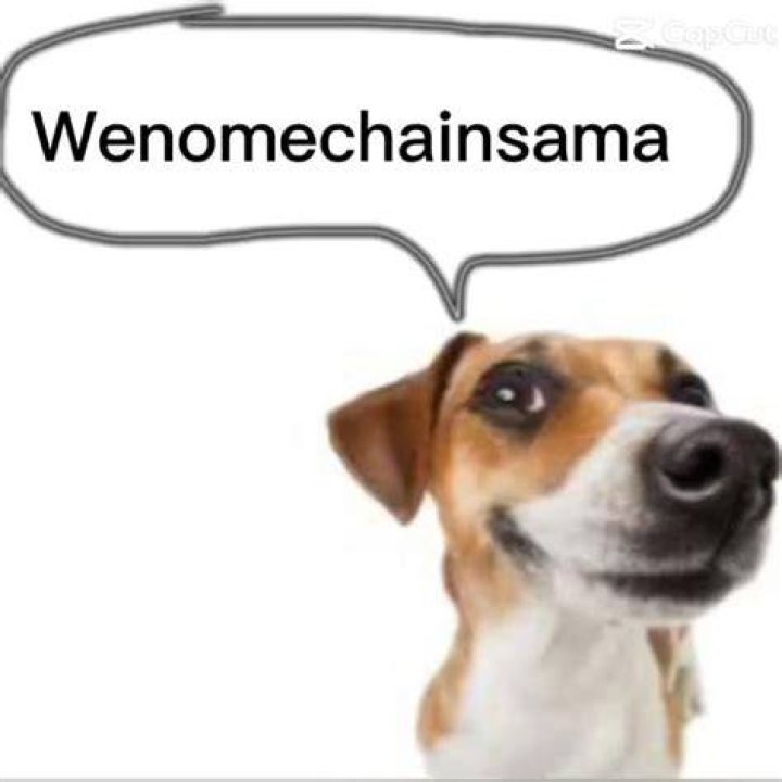 wenomechainsama on Toyhouse