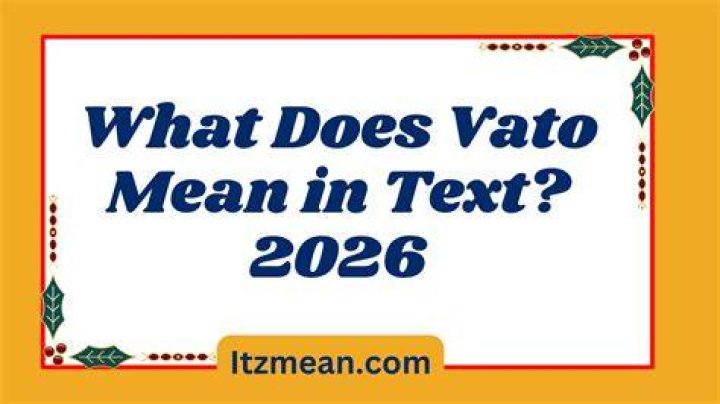 What's The Real Meaning Behind "Vato"?