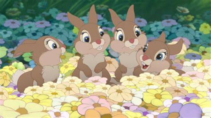 What are the names of the bunnies in Bambi? Celebrity