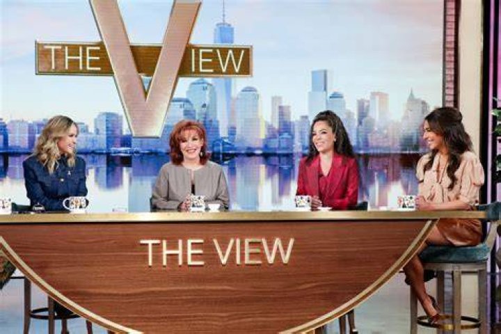 Who is The View cohost Ana Navarro's husband, Al C&aacute;rdenas ? The US Sun